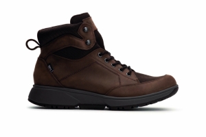 seattle men brown bruin