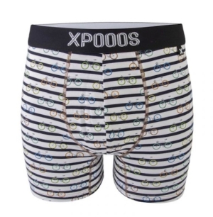 herenboxer bike breton 