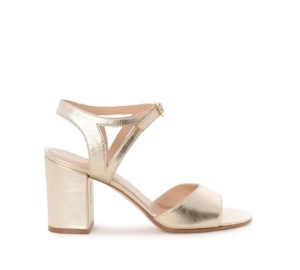 CASSIA champagne 