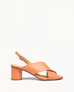 Winoes Coral 802 oranje