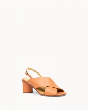 Winoes Coral 802 oranje