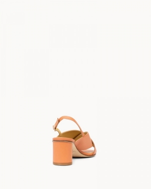 Winoes Coral 802 oranje