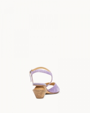 Wally lilac lila