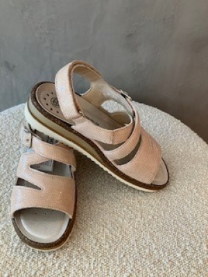 dory opale 2620F pale blush roos