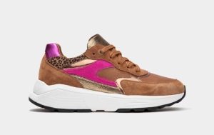 cognac combi cognac