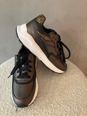 ponte vecchio brown fantasy bruin