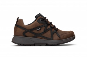abo brown cognac