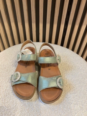 Myranda green almond groen