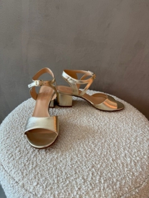 Ceda Champagne goud