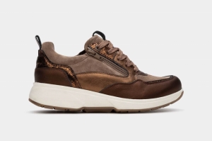 Grenoble bronze brons