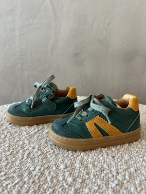 fox verde groen