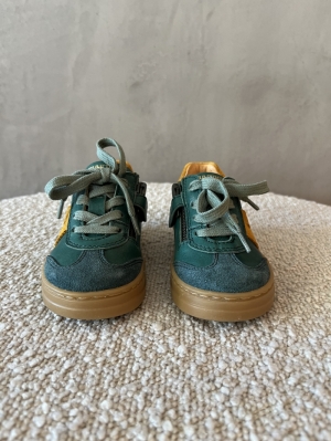 fox verde groen