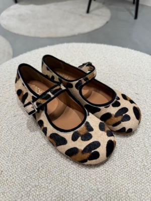6104AB leopard somali