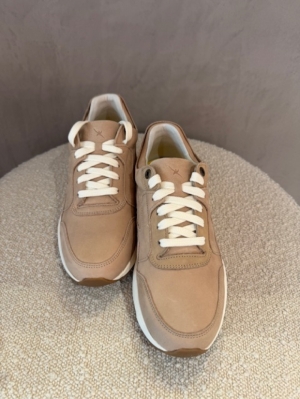 golden gate taupe bruin
