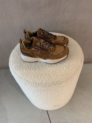 SWX21 cognac