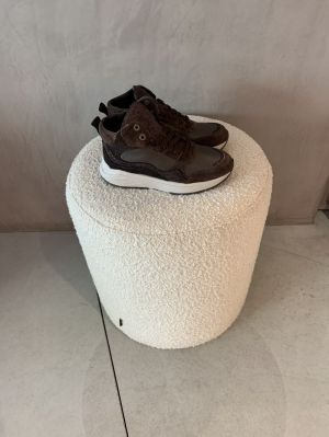 tower bruin