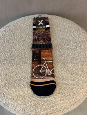socs bikey bruin
