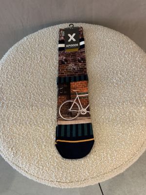 socs bikey bruin