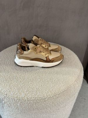 rainbow bordeaux beige