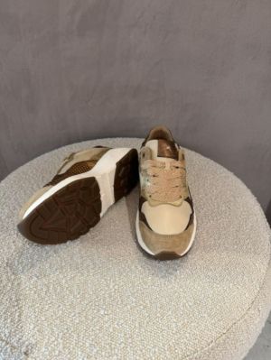 rainbow bordeaux beige